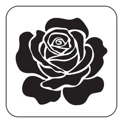 Vintage Flower Design with Classic Botanical Illustrations