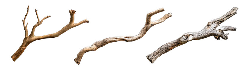 Driftwood Branches in Varied Shapes and Textures. Isolated on a Transparent Background. Cutout PNG.