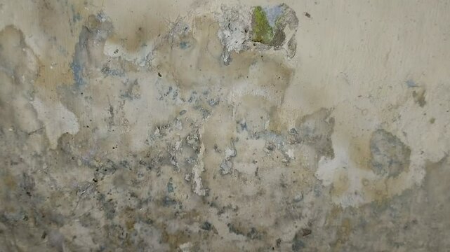 wall paint that bubbles because the wall is damp.