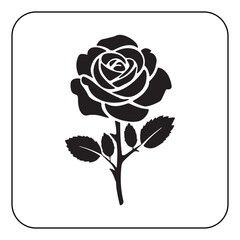 Obraz premium Vintage Flower Design with Classic Botanical Illustrations