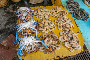 Fresh varieties of sea food meat like fishes, crabs, shrimp, prawns, squid, cuttlefish, octopus, sharks, dry fish, etc,. Selling at Chennai Kasimedu - the largest fish market place in south india.	