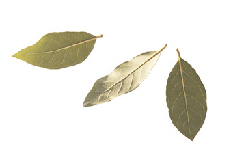 Obraz premium Three Bay Leaves, One Gold-Toned, Isolated on White