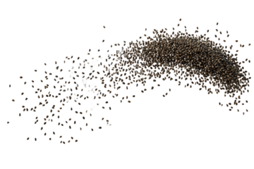 Abstract Chia Seed Cloud Swirl, Isolated on White