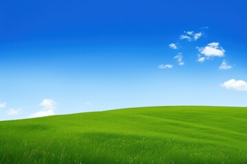 Fototapeta premium Vibrant green field under sky