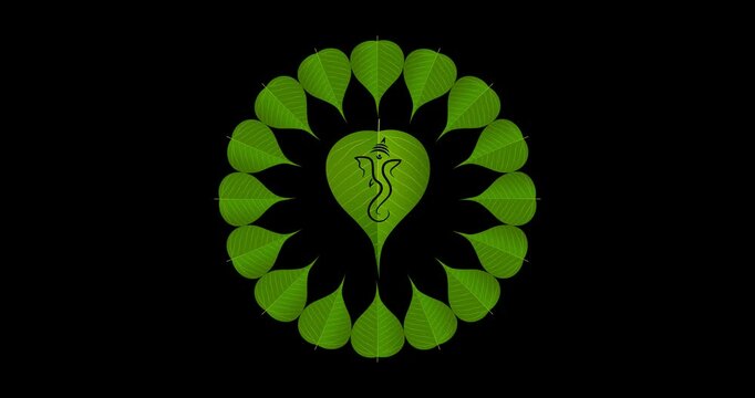 peepal leaf ganpati motion graphics on transparent background (alpha). design for Hindu Auspicious Occasion and Ganesh chaturthi festival.