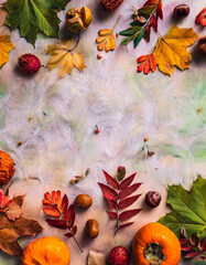 秋の紅葉背景 - カエデの葉とオレンジ色の光　Autumn Foliage Background - Maple Leaves and Orange Light
