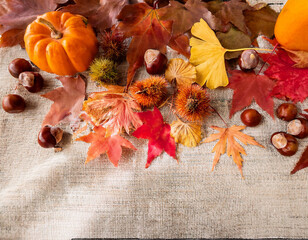 秋の紅葉背景 - カエデの葉とオレンジ色の光　Autumn Foliage Background - Maple Leaves and Orange Light