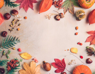 秋の紅葉背景 - カエデの葉とオレンジ色の光　Autumn Foliage Background - Maple Leaves and Orange Light