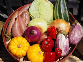 カラフルな夏野菜