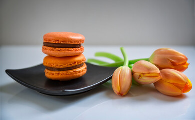 Macaron 02