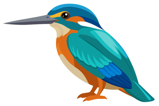 recommend clip art: Common kingfisher bird vector art illustration