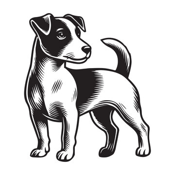 recommend clip art: Jack Russell Terrier Dog Standing silhouette - standing dog side view Vector illustration in black and white