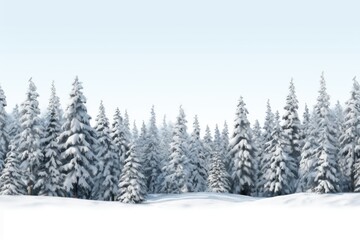 Naklejka premium Tree snow backgrounds outdoors.