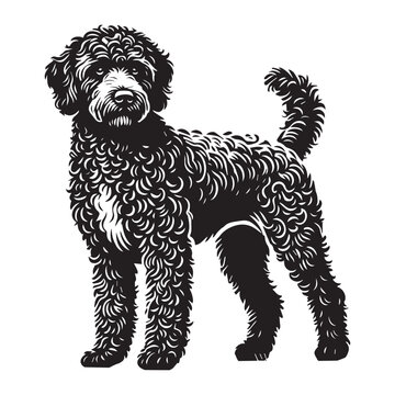 Lagotto Romagnolo Dog Standing silhouette - standing dog side view Vector illustration in black and white

