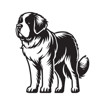 Saint Bernard Dog Standing silhouette - standing dog side view Vector illustration in black and white
