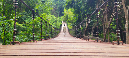 Wooden bridge