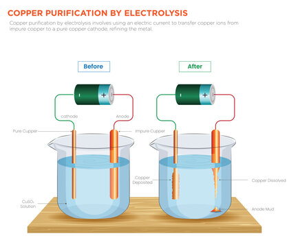 Copper Purification by Electrolysis Refining Copper through Electric Current Transfer