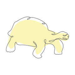 Turtle Pastel Color Line Art Animal