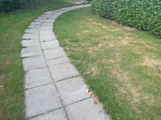 A crossroads in a green landscape