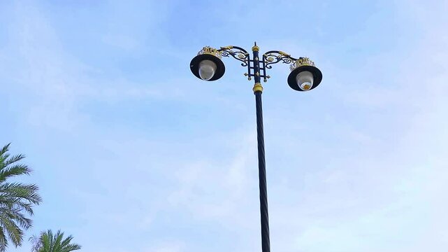 Street lighting with beautiful and sophisticated decorations