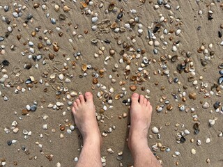 Two bare feet standing on shells