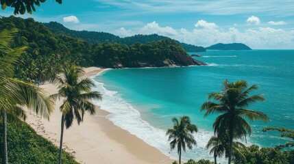 Fototapeta premium A scenic image of the Brazilian coast, with palm trees, sandy beaches, and turquoise waters, capturing the tropical beauty of the country.
