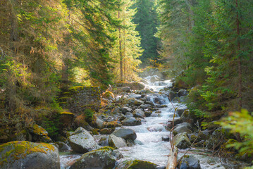 A small stormy river in the Pirin mountains in autumn. The Demyanitsa river flows in a mountain...