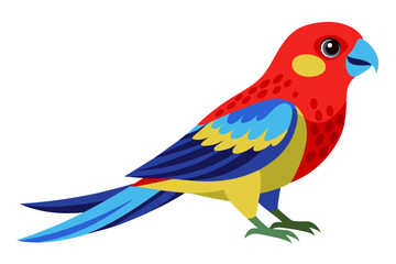 Eastern rosella vector art illustration