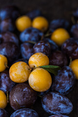 yellow and blue plums, fruits, summer fruits, autumn fruits