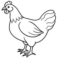 Hen line art isolated on a white background 
