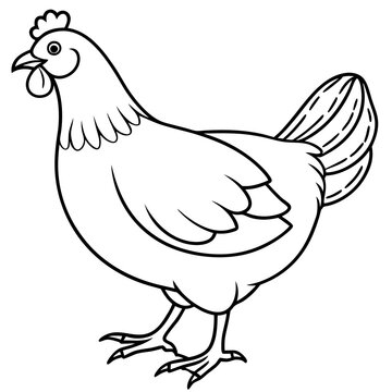 recommend clip art: Hen line art isolated on a white background 
                    