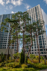 여름의 아파트 경관