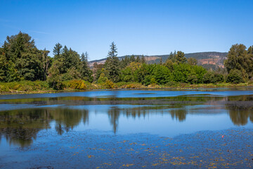 Obraz premium Beautiful pond view in in summer. Location is Lyons City Park, Oregon