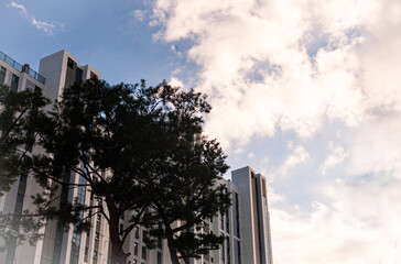 여름의 아파트 경관