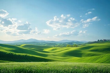 Obraz premium Rolling Green Hills Under a Blue Sky with White Clouds