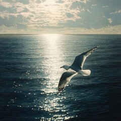 Naklejka premium Seagull gliding over the ocean, with the sunlight reflecting off the water, creating a tranquil scene
