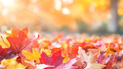Fototapeta premium Autumn Leaves Ground, Fall Colors Nature Background