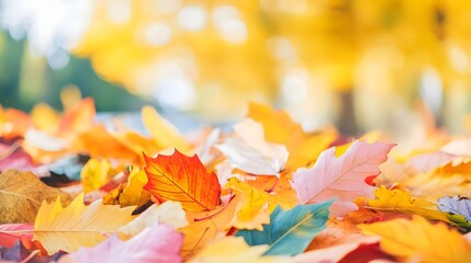 Colorful Autumn Leaves Close-Up Background