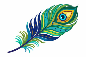 Obraz premium Peacock feather vector illustration 