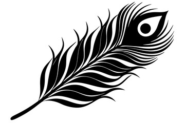 Obraz premium Peacock feather silhouette vector illustration 