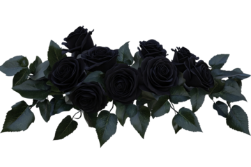 A cluster of black roses with green leaves, isolated on a white transparent background.