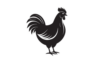 Chicken silhouette vector illustration, Chicken silhouette vector, Chicken silhouette line art