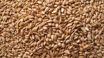 Peeled spelt grains, top view, isolated on white 