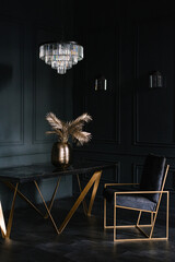 Stylish modern living room in black with table and chair