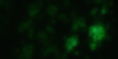 Whimsical Journey through an Enchanting Rainbow Splash on a Cute and Colorful Abstract Background