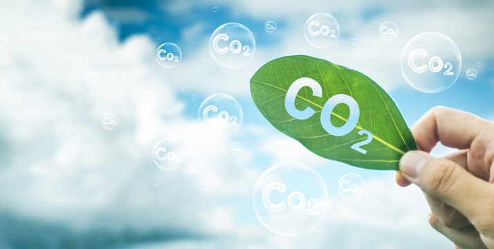 Reduce CO2 emissions to limit climate change and global warming. Tree canopies protect against oxygen O2 and carbon dioxide CO2. Molecules.net Zero Carbon.
