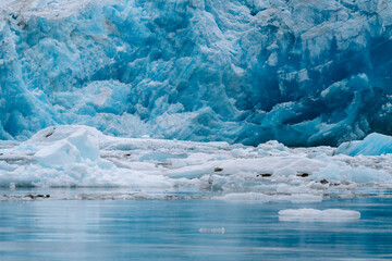 Details of sawyer glacier at the head of Tracy Arm fjord in Alaska near Juneau during summer 