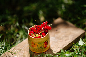 red currant in wooden old cup on wooden stand in green grass outside, summer berries