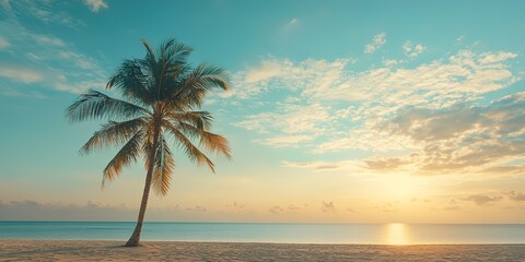 A palm tree stands tall on a sunny beach as the day ends