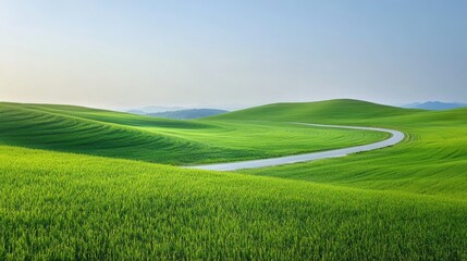 Obraz premium green grass outdoor field landscape with roadway